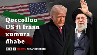 tiraamp amma iraan irraa maal barbaada bbc news afaan oromoo