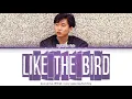 Byun Jin Sub (변진섭) - Like the Birds (새들처럼) [Color Coded Lyrics Han/Rom/Eng]