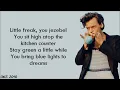Lagu Harry Styles - Little Freak (lyrics)