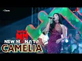 Lagu CAMELIA - SASA KDI - ( COVER )