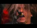 Download Lagu MELVINS live @ Belfort 2003 (Full concert)