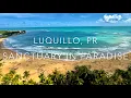 Airbnb Sanctuary in Paradise Luquillo Puerto Rico