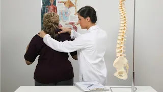 Chiropractors Career