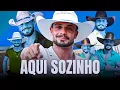 Download Lagu DIOVANE SEVERO O RITMO QUE CONTAGIA | MUSICA AQUI SOZINHO