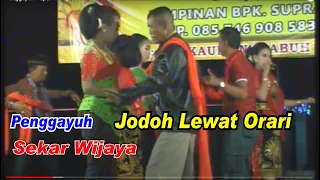 Download Penggayuh _ Pupur Wangi _ Jodoh Lewat Orari _ Sekar Wijaya Jombang - Jawa Timur MP3