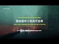 Ronghao Li 李榮浩  - 年少有為 If I Were Young | Lyric Video [Chn | Pinyin | Eng Lyrics]
