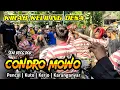 Download Lagu seni reog dor CONDRO MOWO || kirab keliling desa || Pencol, Kuto, Kerjo, Karanganyar