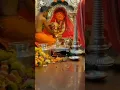 Download Lagu Ekvira Aai Palkhi Sohala 2022 | Status Video | Palkhi Sohala WhatsApp New  Status