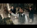 Video di Animali Fantastici - I Segreti di Silente | Trailer Ufficiale