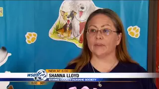 Humane Society Beware of suspected dog flipping