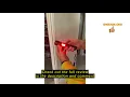 Review Rechargeable Flashlight 990000 Lumens BCOTE 2 Pack Super Bright LED Flashlight Camping Brig