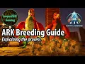 ARK Breeding Guide Explaining the Process ARK Survival Ascended