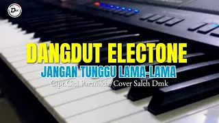 dangdut electone jangan tunggu lama lama cipt cici paramida cover by saleh 
