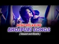 Download Lagu Nonstop Enjoy Bhojpuri Vibes Songs | Pawan Singh, Khesari Lal | Slowed and Reverb | ABT Lofi Music