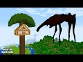 Download Lagu SURVIVING FROM DAY 18 ARRIVAL in Minecraft - Gameplay - Coffin Meme