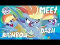 NEW Meet Rainbow Dash in Pony Life MLP
