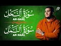 Lagu تدبر وخشوع | Surah An-Nahl \u0026 An-Naml Peaceful Tilawah تلاوة قرآنية تملأ القلوب نورًا وطمأنينة