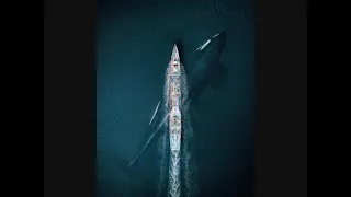 يا من أمنت يونس فى بطن الحوت نصر الدين طوبار دندنها