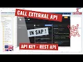 Call External API in SAP ABAP - API Key