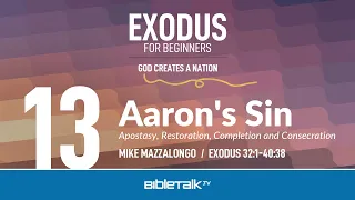 Aaron's Sin