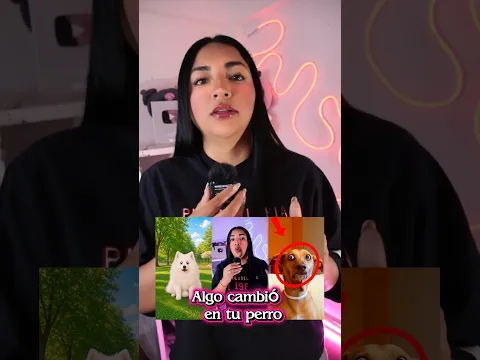 Esto es lo que NUNCA debes preguntarle a tu PERRO 😱🚫  #storytime #facts #perro #horrorstory #viral