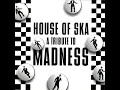 Madness - Dr. Ring-Ding & The Senior All Stars