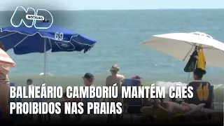 Balneário Camboriú mantém proibição de cães nas praias durante a temporada
