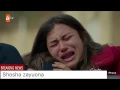 محمد الحلفي مشو عني الاحبهم |مسلسل الأزهار الحزينه| تصميمي🙂🍃