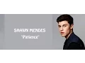 Download Lagu Shawn Mendes - Patience (lyrics)