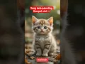 Download Lagu solawat muslim