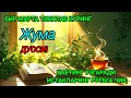 Lagu Ҳар тонгни Аллоҳнинг каломи билан бошланг — қалб хотиржам, ризқ кенг бўлади