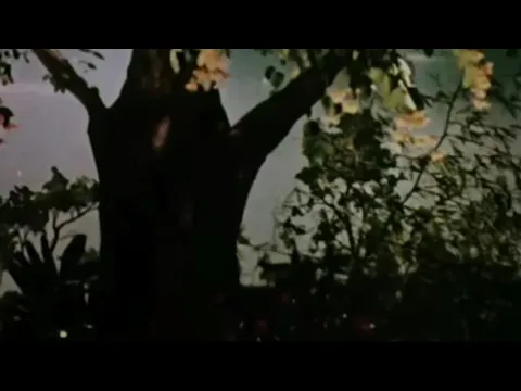 Pongum Olimayam - YouTube