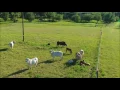The Cattle Range Listing - 201