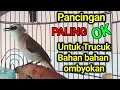 Download Lagu TRUCUK BAHAN OMBYOKAN PINGIN GACOR..? PAKAI INI Pancingan trucukan agar bunyi gacor