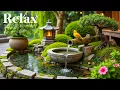 Download Lagu Beautiful Relaxation Music 🌳🐥 Spa Piano \u0026 Water Sounds for Stress Relief \u0026 Peaceful Meditation