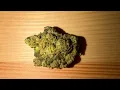 Gush Cake 26 90 Roll One Trulieve Palm Harbor