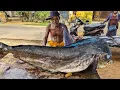 Download Lagu Wow Amazing Huge Mahi Mahi Fish Cutting Skills Village Fish Market