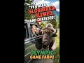 Olympic Game Farm A Wild Adventure in Sequim WA