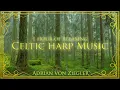 Download Lagu 1 Hour of Relaxing Celtic Harp Music by Adrian von Ziegler