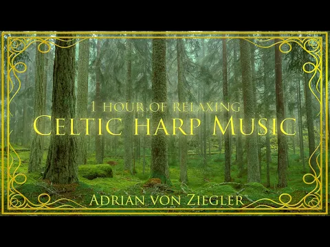 Download MP3 1 Hour of Relaxing Celtic Harp Music by Adrian von Ziegler