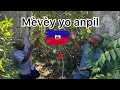 Download Lagu Gwo dekouvèt nan yon Abitasyon ki la depi sou \