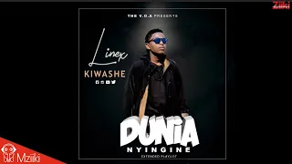 linex kiwashe official audio