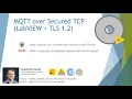 TLS Secured MQTT Broker and Server for LabVIEW