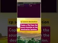 Linux for Beginners Lesson 8 Copying Files with cp
