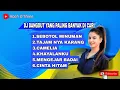 Download Lagu DJ DANGDUT SLOW TERBARU FULL ALBUM 2024 - FULL BASSNONSTOP - REMIX DANGDUT LAWAS II SEBOTOL MINUMAN