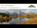 Dave Harringan Land in Colorado