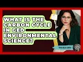 What Is The Carbon Cycle In GED Environmental Science - Your GED Coach