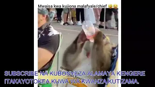 top 10 za vichekesho vya nyonyoma na mwaisa cheka uongeze siku za kuishi african forester mtu mbad