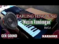 Download Lagu MUSIM RENDENGAN - IWI.S TARLING TENGDUNG KARAOKE - CEK SOUND BASS ADEM