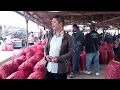 Download Lagu Info harga bawang merah dan sayur dari alahan panjang, kab.solok. rabu, 25 juni 2025